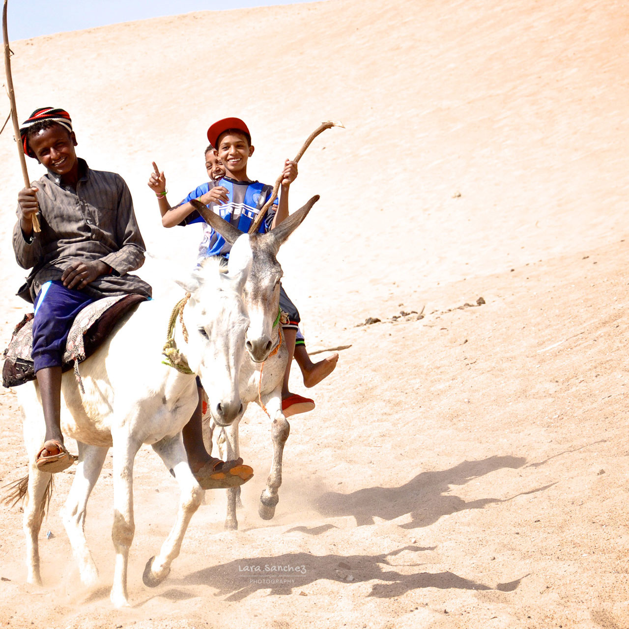 Children and their donkeys