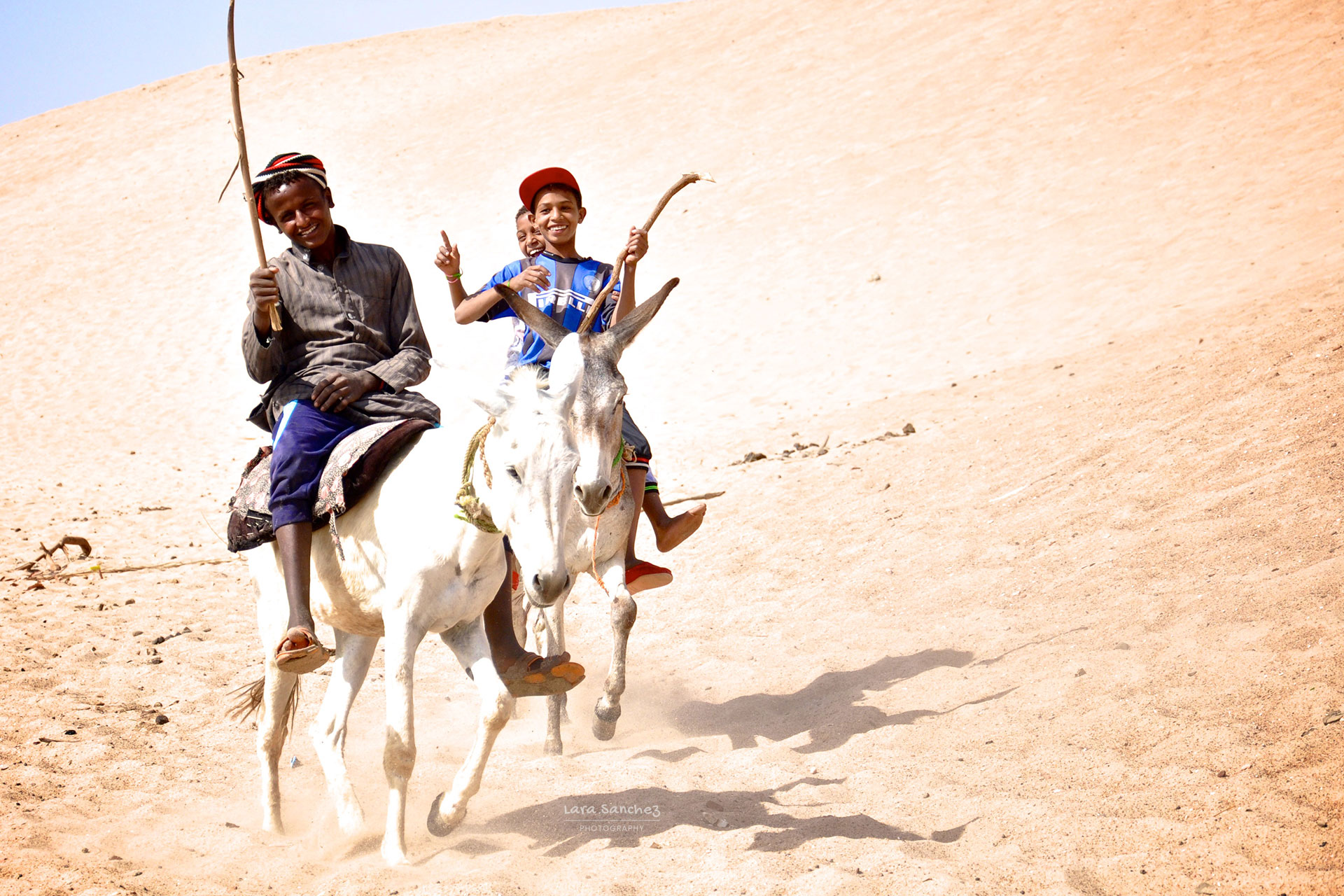 Children and their donkeys