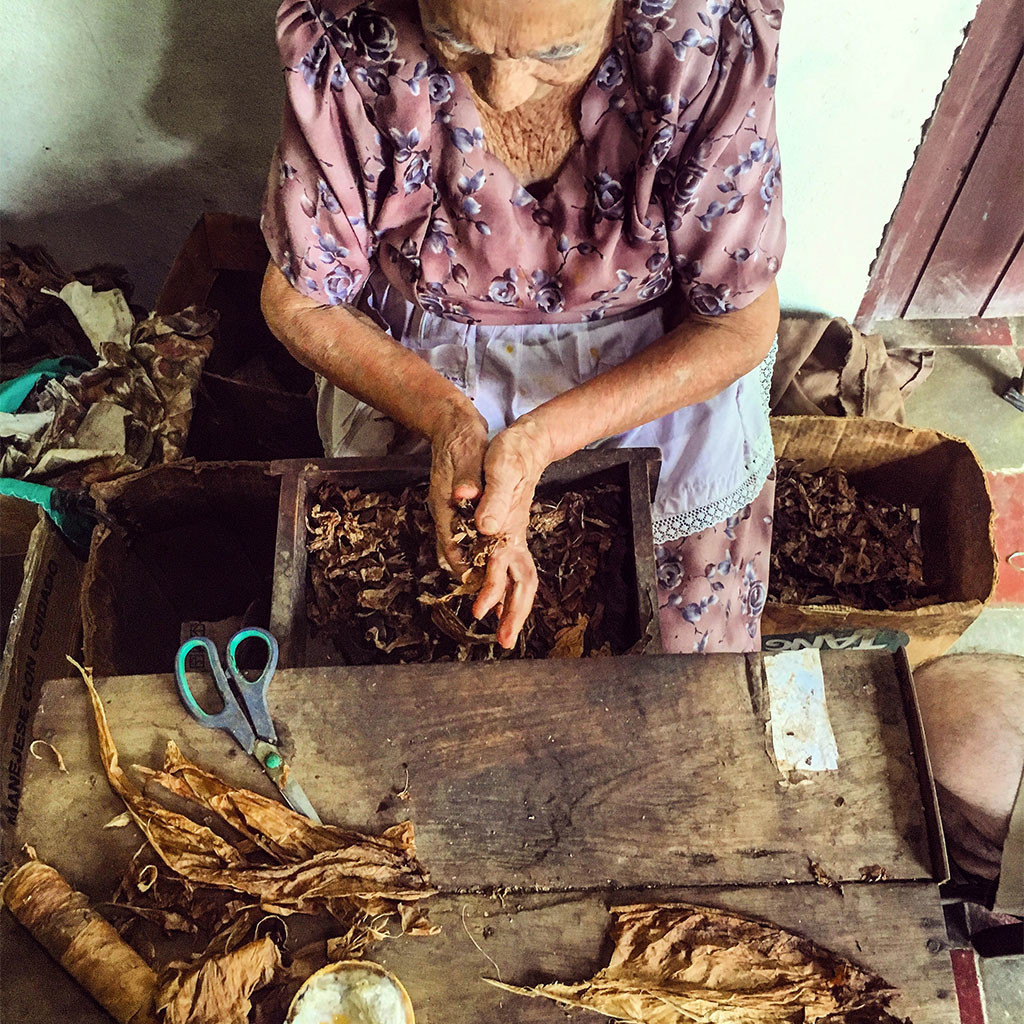 Victoria is a Salvadorian woman from Suchichoto. She is 98 (or 99) years old and she makes around 200 cigars every day. She buys the tobacco from Guatemala and sells them in her house in Suchichoto, El Salvador. Spring 2017