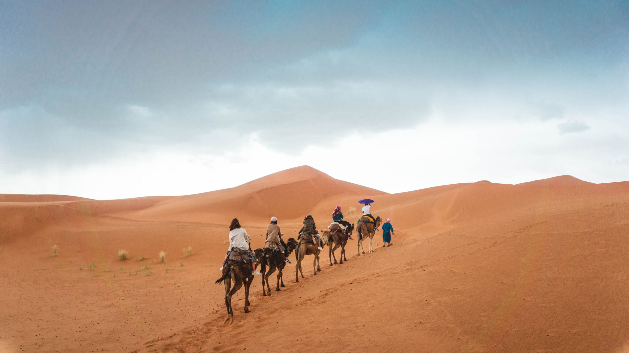 Sahara desert, Morocco