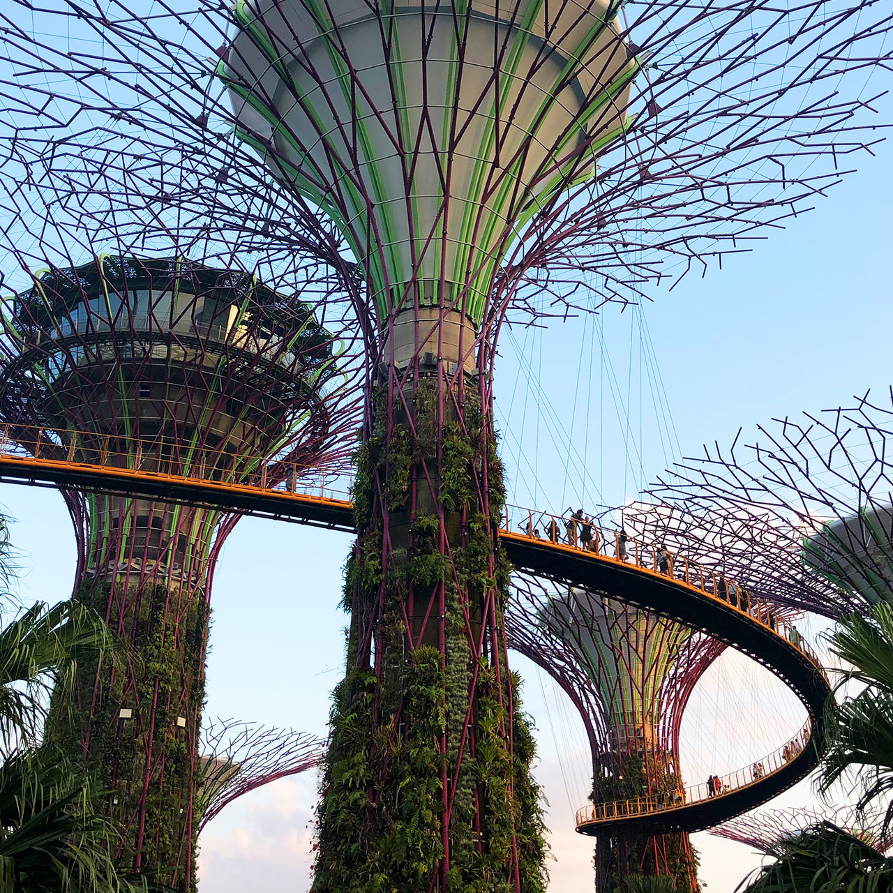 Supertrees. Gardens by the Bay, Singapore