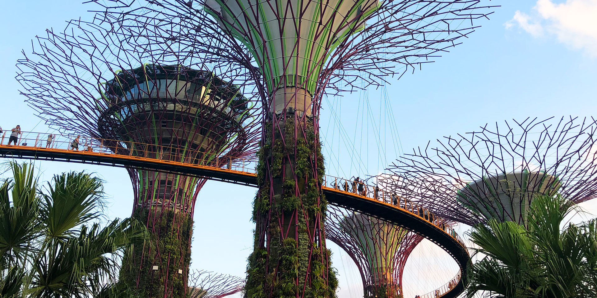 Supertrees. Gardens by the Bay, Singapore